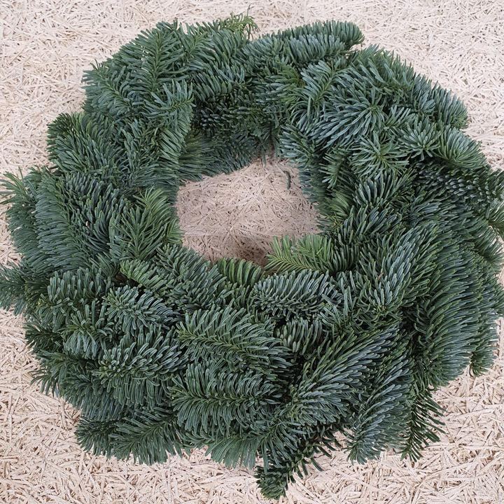 Een volle krans van Nobilis groen